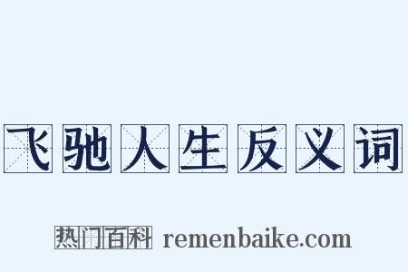 飞驰人生反义词是什么意思的图片